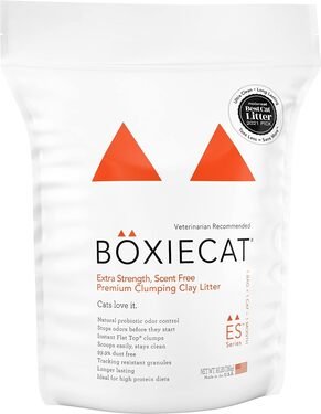 Boxiecat Arena para Gatos