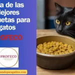 Análisis de las mejores croquetas para gatos
