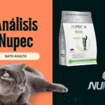 nupec gato adulto