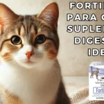 Fortiflora para Gatos: Suplemento Digestivo Ideal