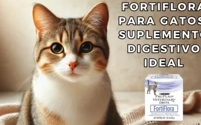 Fortiflora para Gatos: Suplemento Digestivo Ideal