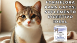 ¿Qué es Fortiflora para Gatos y Cómo Funciona?