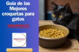 Análisis de las mejores croquetas para gatos: Profeco 2024